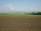 Feld an der Hohle Blick nach Beichlingen